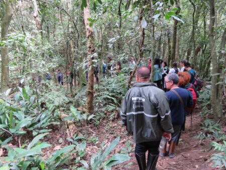 Trilha para antigo teleférico