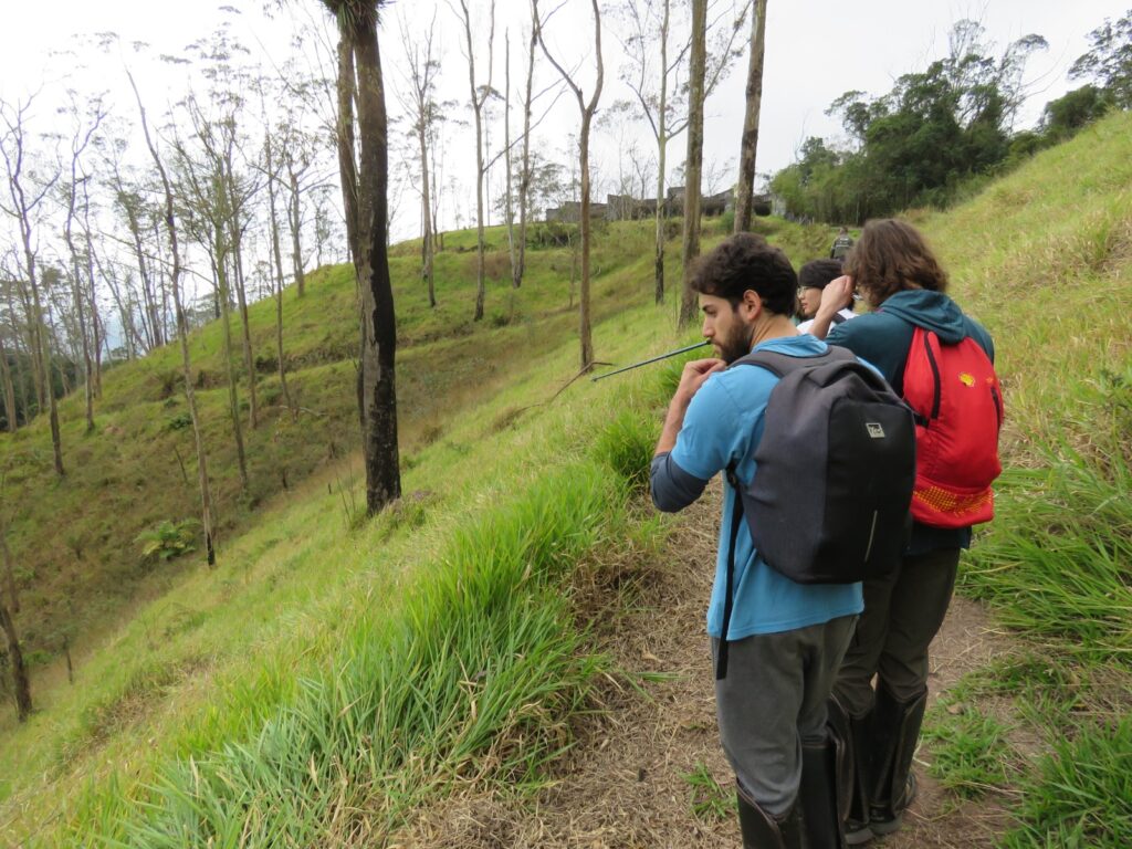 Trilha para o antigo teleférico 
