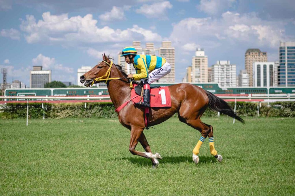 Turfe Jockey Club