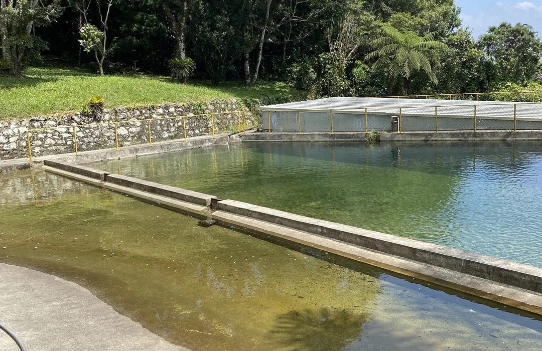 Trilha olho d'agua - Paranapiacaba