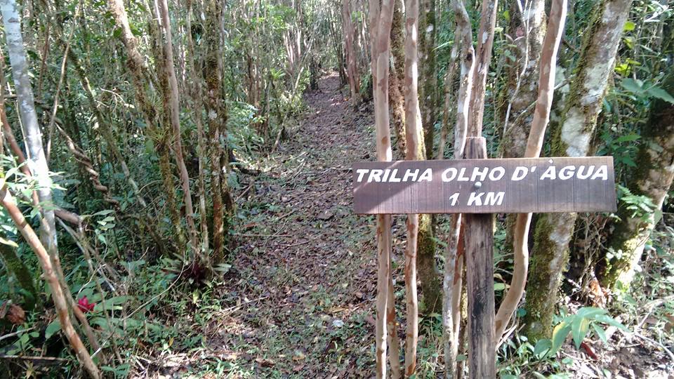 Trilha olho d'agua - Paranapiacaba