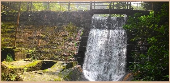 Trilha olho d'agua - Paranapiacaba