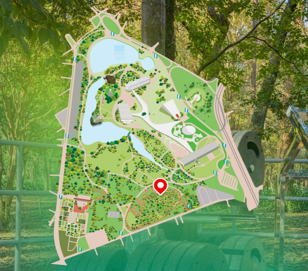 academia no Ibirapuera