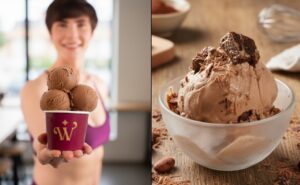 The Wish Factory Gelateria