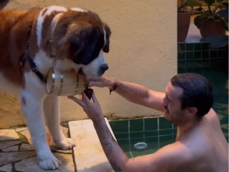 O Portalzinho - Paraty